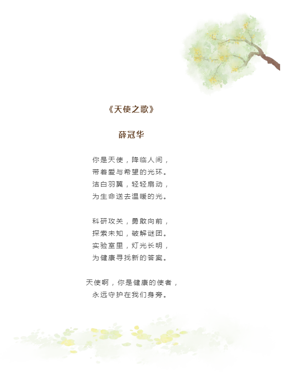 from clipboard